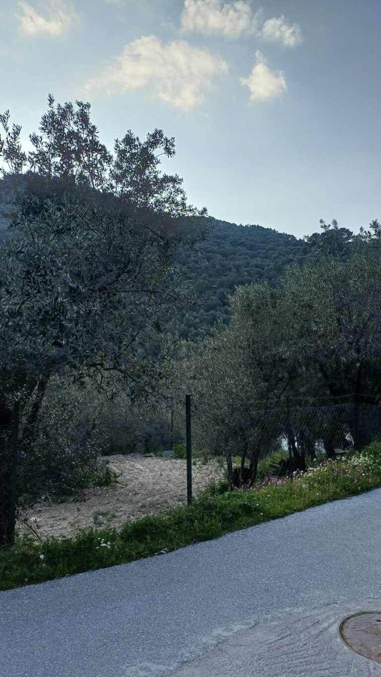 20260324_170037