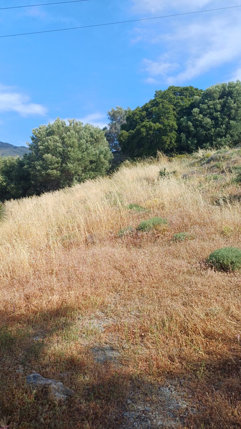 20260520_092324