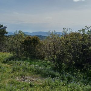 20260418_093839