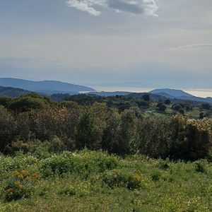 20260418_093942