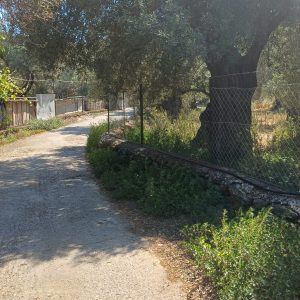 20260528_155608