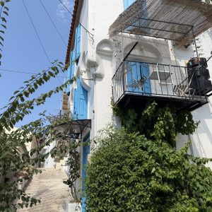IMG_4019