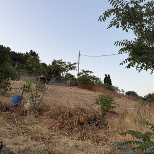 IMG_4076