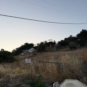 IMG_4081