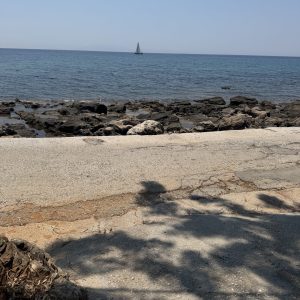 IMG_4087