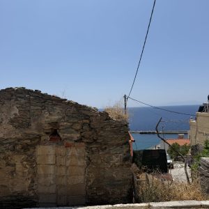 IMG_4233