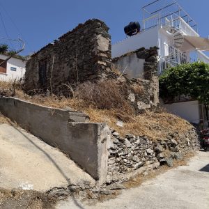 IMG_4235