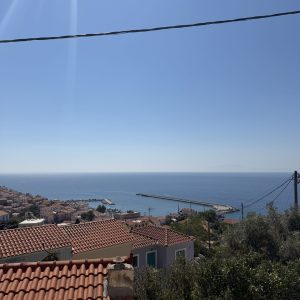 IMG_4518
