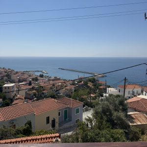 IMG_4542