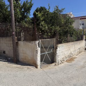 IMG_4651
