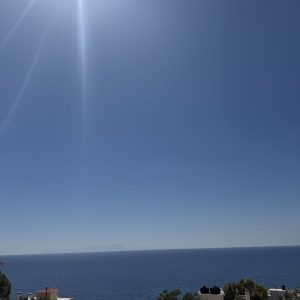IMG_4653
