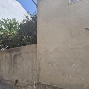 IMG_4725