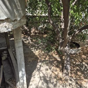 IMG_4734