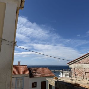 IMG_4904